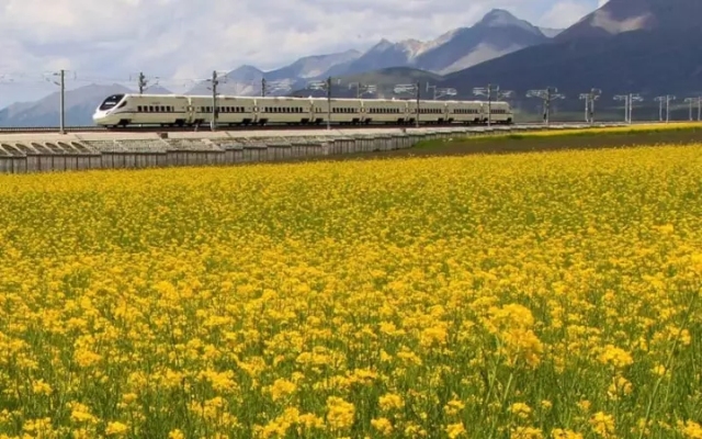 定了！西宁至成都铁路驶出青海后，途经这些地方......