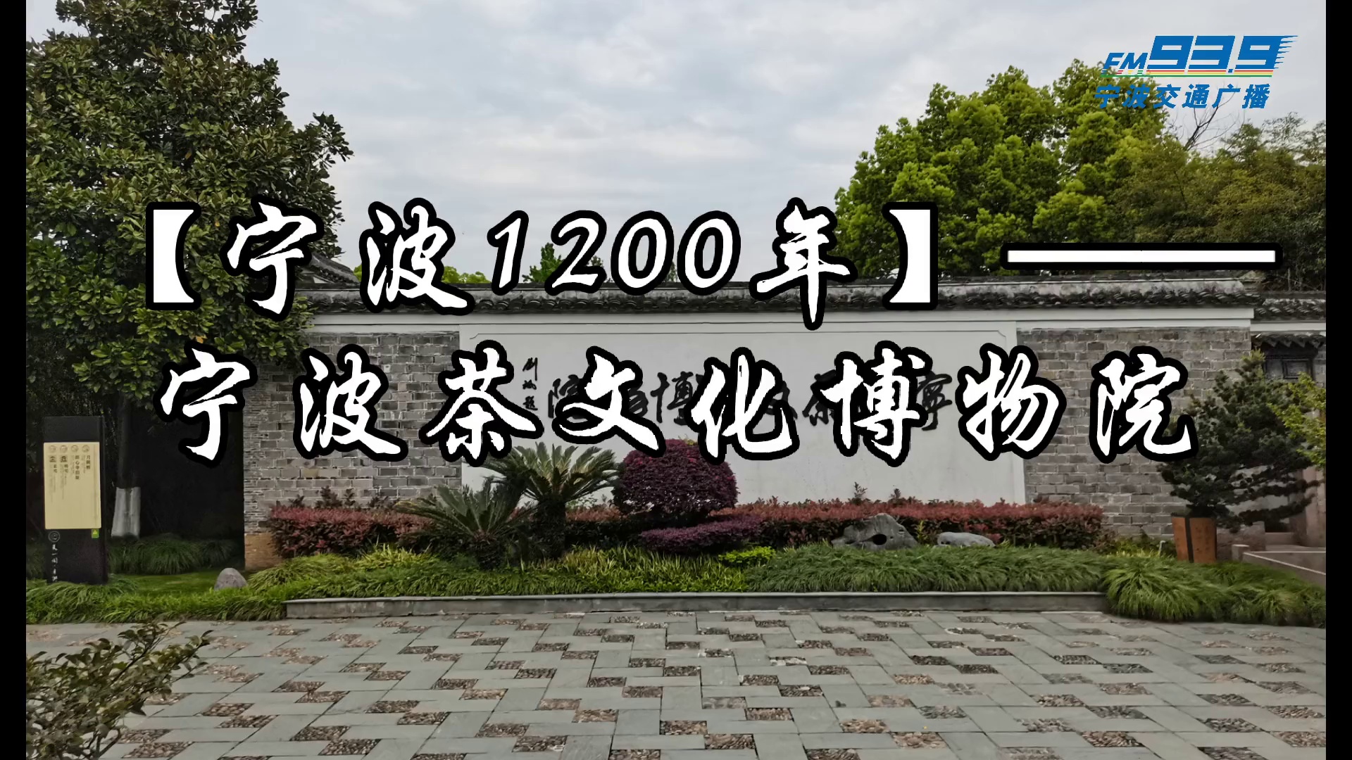 宁波1200年第十五期谷雨嫩茶香咪咪宁波茶文化博物院